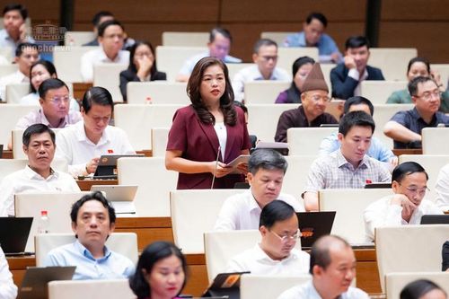 Đại biểu Quốc hội đề xuất giải pháp phát triển logistics, kết nối vùng
