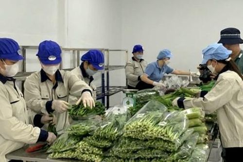 Đổi mới quản lý an toàn thực phẩm: Kiểm soát nguy cơ tại nguồn, giám sát toàn chuỗi