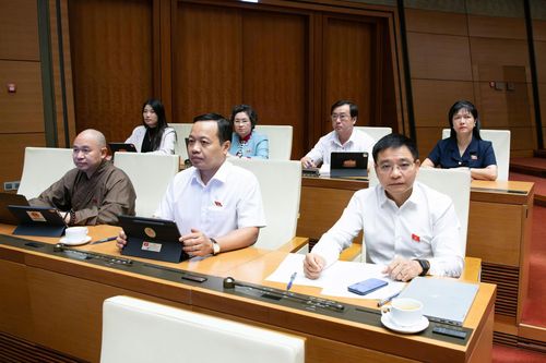 ĐBQH tỉnh đề xuất giải pháp phát huy tiềm năng, lợi thế vùng trung du và miền núi phía Bắc