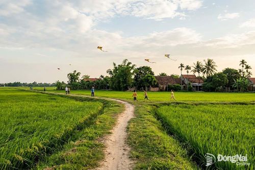 Thênh thang gió đồng