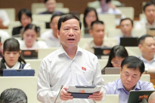 Đoàn đại biểu Quốc hội tỉnh tham gia thảo luận về phát triển kinh tế - xã hội