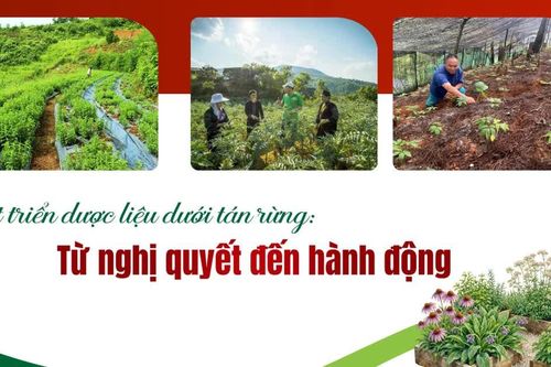 Từ nghị quyết đến hành động