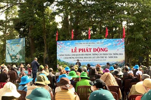 Các địa phương ra quân vệ sinh môi trường chào mừng Festival Hoa Đà Lạt