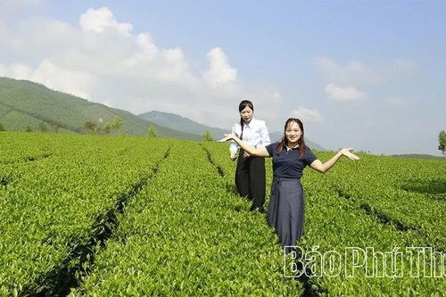 “Rễ siêng” nơi đất khó