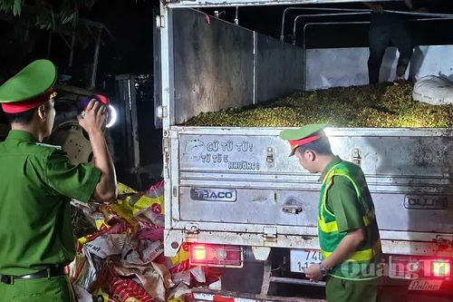 Giữ gìn bình yên mùa thu hoạch cà phê