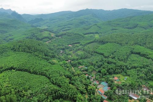Minh Hóa: Tập trung xử lý vi phạm về rừng, đất lâm nghiệp