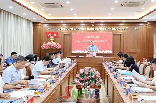 Ban Thường vụ Tỉnh ủy xem xét, quyết định một số nội dung theo thẩm quyền