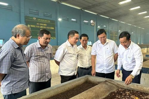 Phát triển nông nghiệp hữu cơ theo chuỗi giá trị