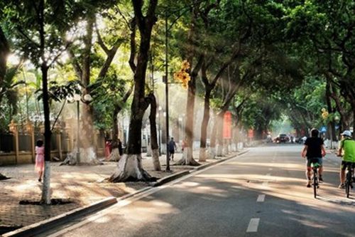 Dự báo thời tiết ngày 31/10: Bắc Bộ và Trung Bộ giảm mưa, ngày nắng ráo