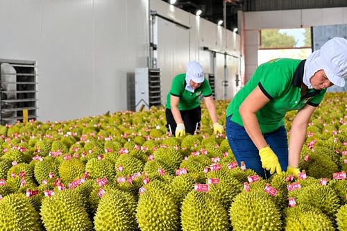 Trung Quốc giảm thủ tục đăng ký thực phẩm, tăng kiểm soát sau đăng ký