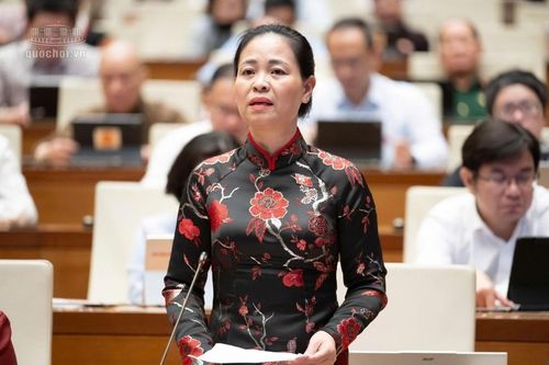 'Thị trường dư thừa cử nhân các ngành kinh tế mang tính lý thuyết'