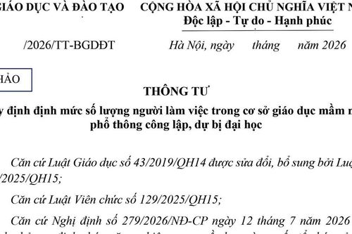 Băn khoăn về cụm từ 'cán bộ quản lý' trong dự thảo Thông tư mới
