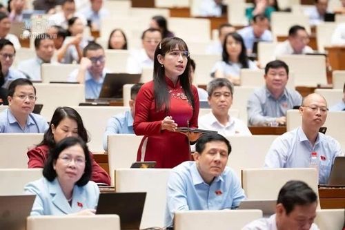 ĐBQH kiến nghị cơ chế đặc thù để nâng chất lượng dinh dưỡng học đường