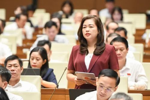 Đề xuất thí điểm tạo quỹ đất sạch, lựa chọn nhà đầu tư chiến lược tại khu kinh tế cửa khẩu