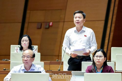 Đại biểu Nguyễn Bình Tân: Đẩy nhanh đầu tư công trình kiểm soát triều cường, xâm nhập mặn ở ĐBSCL