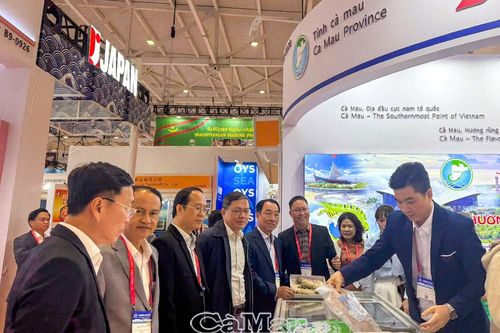 Cà Mau mở rộng kết nối, đưa thuỷ sản vào thị trường Trung Quốc