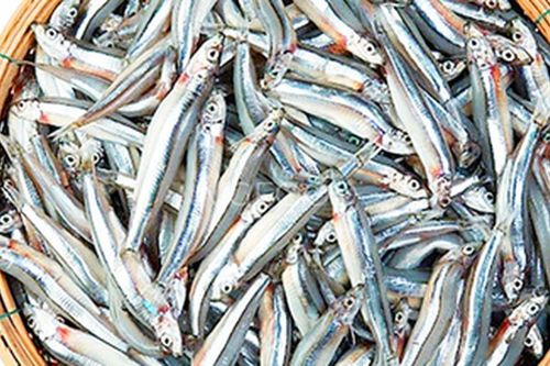 4 loại cá tốt cho tim mạch và xương khớp, giàu omega-3, có loại rẻ tiền bán đầy chợ Việt nhiều người thường ăn