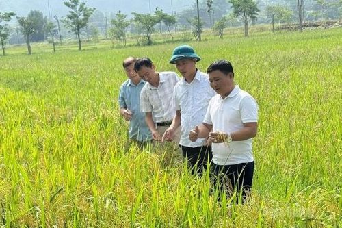 Từ quyết sách đúng đến chuyển biến thực chất trong phát triển nông nghiệp