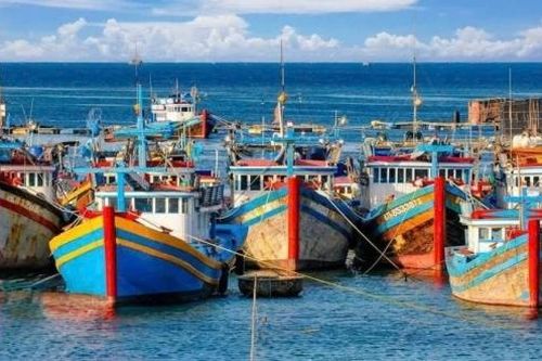Lâm Đồng siết chặt quản lý tàu cá tại các điểm lên cá tạm thời để chống khai thác IUU