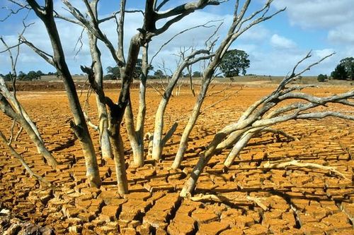 Chủ động ứng phó ảnh hưởng của El Nino