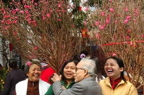 Đào, mai khoe sắc, Tết đến mọi nhà