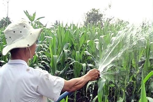 Ứng dụng khoa học - công nghệ trong nông nghiệp
