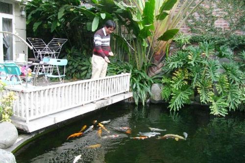 Câu chuyện của 'dân chơi cá cảnh điên rồ'