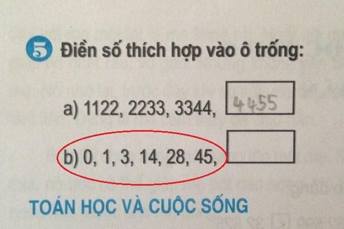 Thủ khoa đau đầu giải bài toán lớp 3 gây tranh cãi