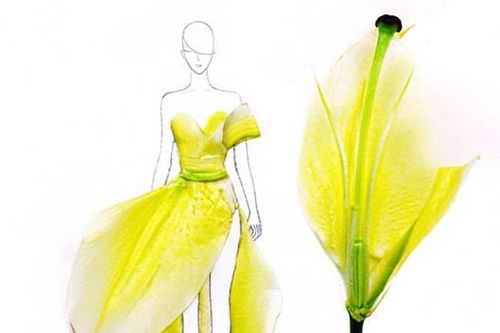 Minh họa thiết kế từ những cánh hoa