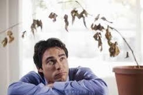 Càng trì hoãn thử ADN cho con, tôi càng dằn vặt