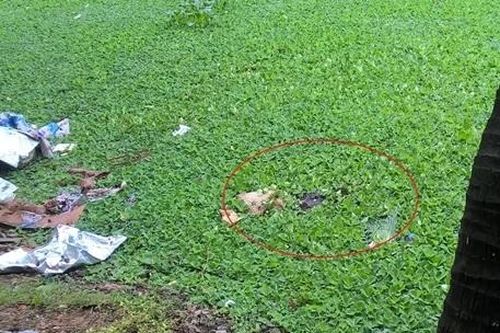 Thanh Hóa: Một phụ nữ tử vong bất thường dưới hồ nước