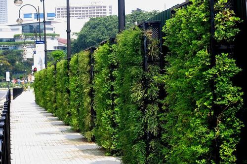 Vườn thẳng đứng - Giải pháp nhận diện thương hiệu