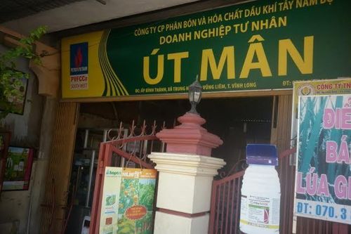 Nữ 'ô sin' trộm 27 lượng vàng của chủ