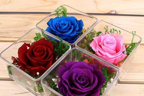 300.000 đồng nên mua hoa gì tặng người yêu ngày Valentine?