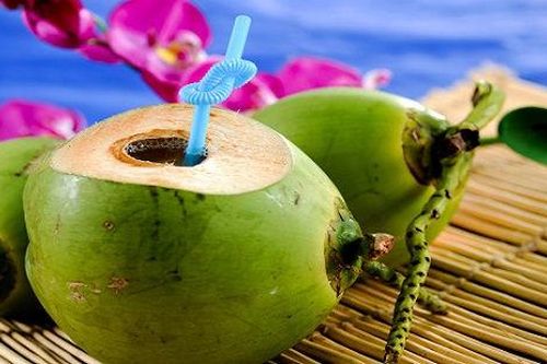 Những người uống nước dừa là sinh bệnh