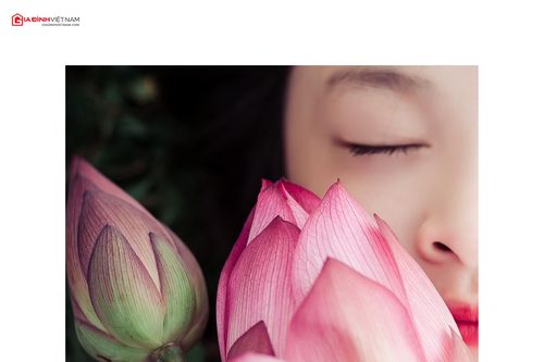 Bé gái 4 tuổi 'gây sốt' cộng đồng mạng với bộ ảnh giữa đầm sen