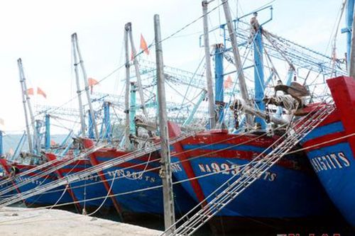 Quỳnh Lưu: Vị thế trọng điểm về kinh tế thủy sản