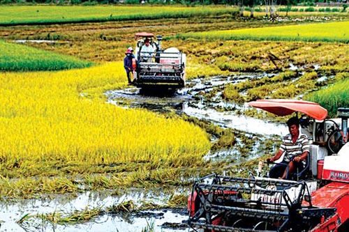 Bàn cách để nông dân vay vốn dễ hơn