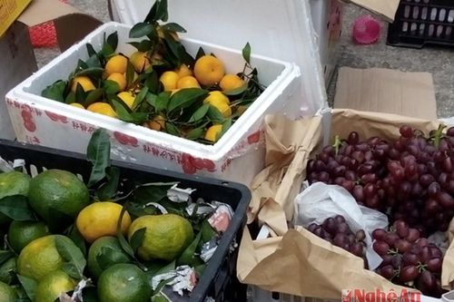 Vận chuyển 1,8 tấn cam, nho Trung Quốc bằng xe tải