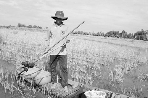 Quản lý sinh vật ngoại lai xâm hại