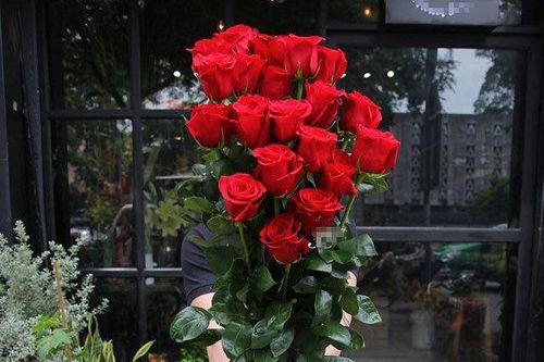 Quà Valentine tặng hotgirl: Cành hoa hồng cao bằng người