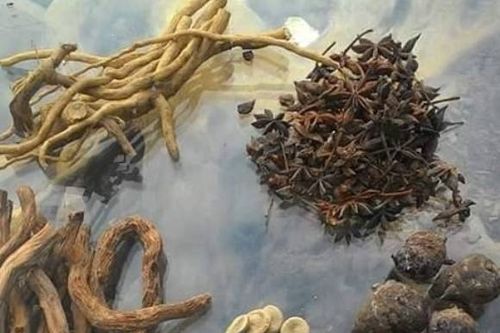 Viêm đa khớp, gout có thể khỏi dứt điểm nhờ 12 vị thảo dược vườn nhà