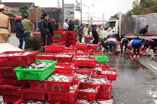 Lật xe tải, hàng tấn cá nục đổ ra quốc lộ