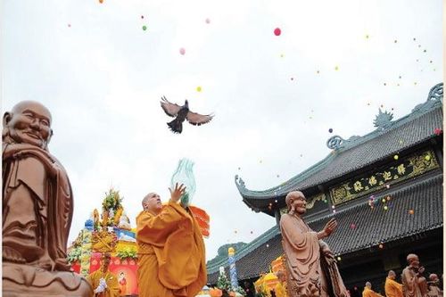 Bàn về phong tục 'phóng sinh'