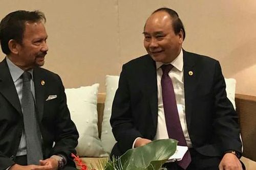 Việt Nam muốn hợp tác liên doanh đánh cá trong vùng biển Brunei