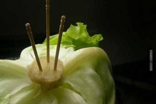 Mẹ chồng ngạc nhiên thấy con dâu cắm tăm vào cuống xà lách