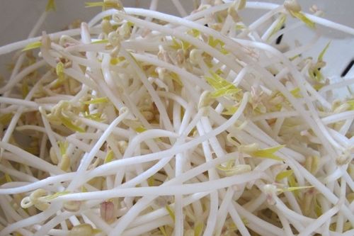 4 sai lầm khi ăn giá đỗ dễ rước họa vào thân