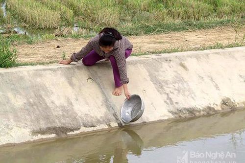 Kênh thủy lợi 100 tỷ đồng gây khó cho dân ở Đô Lương