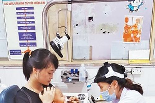 Phòng chống dịch bệnh mùa hè