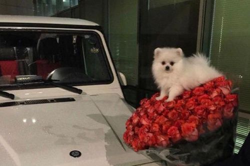 Phát sốt độ ăn chơi xa xỉ của hội con nhà giàu Nga